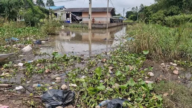 Southern Thailand: 7 Days of Flooding Downstream of Dam Causes Stagnation, Health Concerns