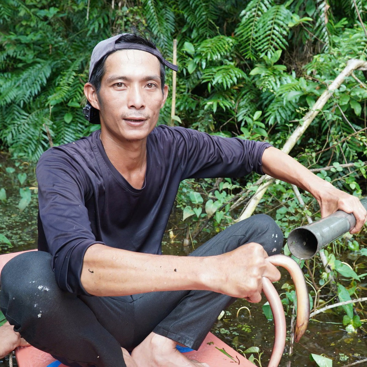 Traditional Mekong Delta Fishing: Unique Eel Trapping in U Minh Ha