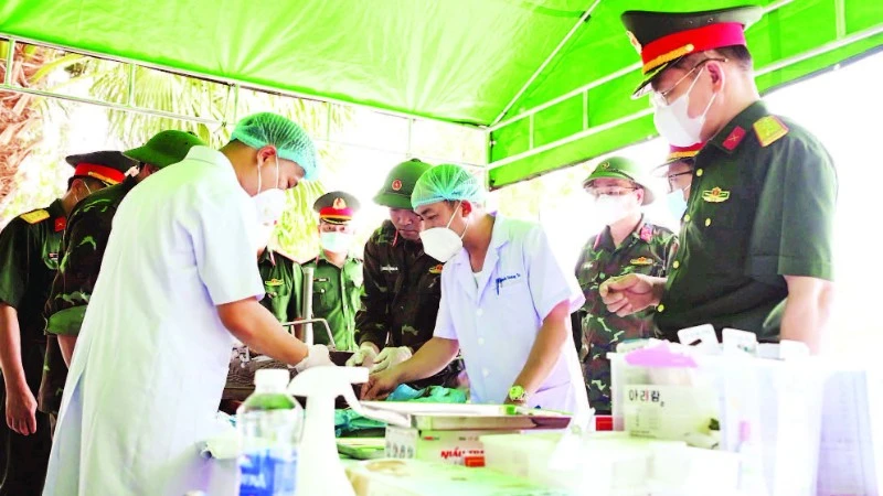 Vietnam Enhances DNA Testing to Identify Fallen Soldiers' Remains, Fulfilling National Aspirations