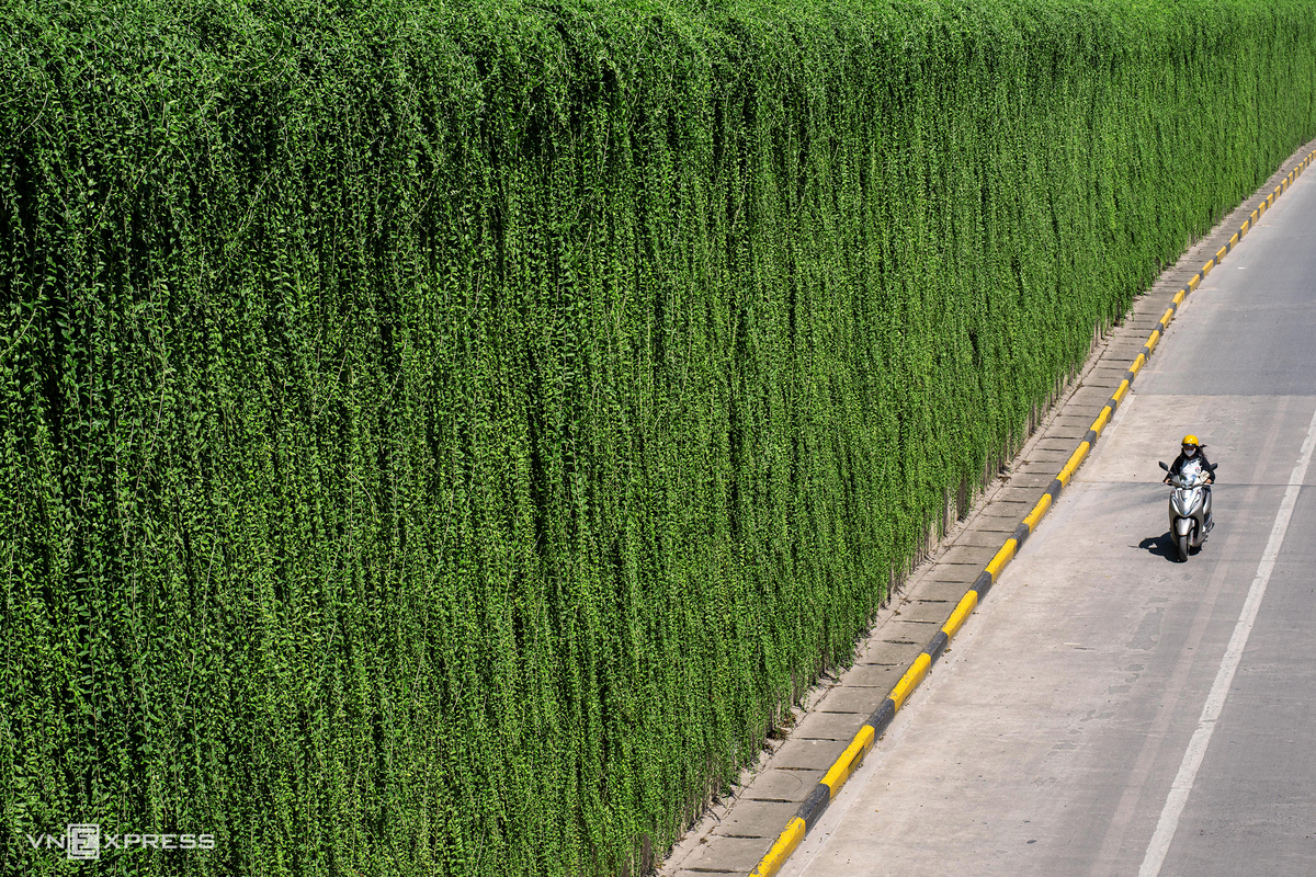 Hanoi integrates greenery into transport infrastructure to combat urban heat