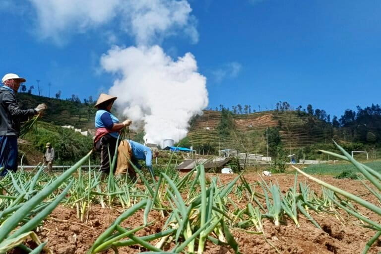 Ungaran Geothermal Project Proceeds Amidst Local Opposition
