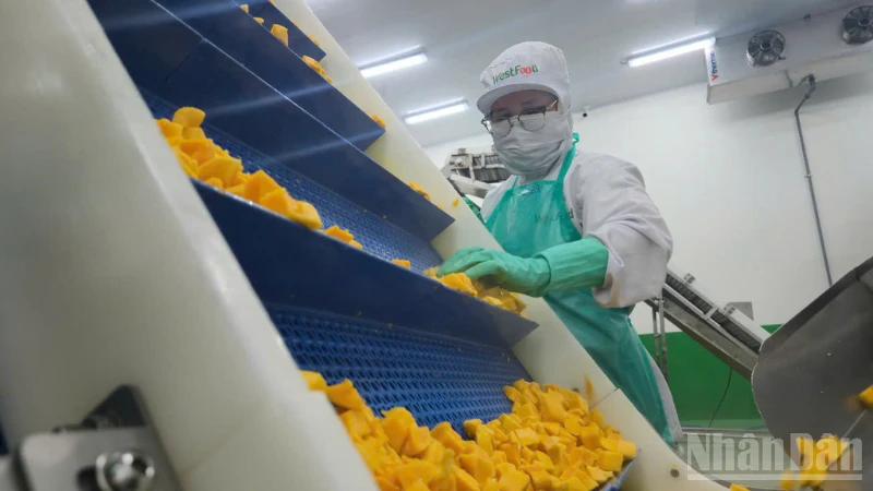Can Tho City Records Robust Growth in Import-Export Trade in Early 2026