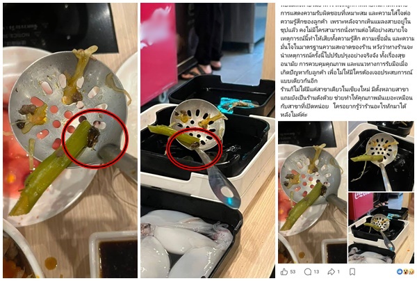 Cockroach Allegedly Found in Soup at Popular Chiang Mai Shabu Restaurant, Sparks Social Media Outcry