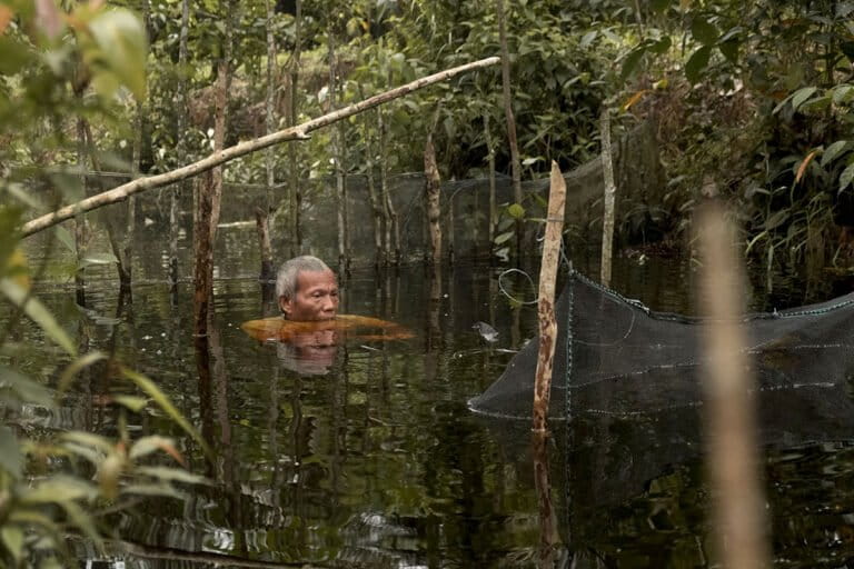 Wetland Conservation in South Sumatra: Community's Traditional Wisdom of 'Paye' and 'Jongot'