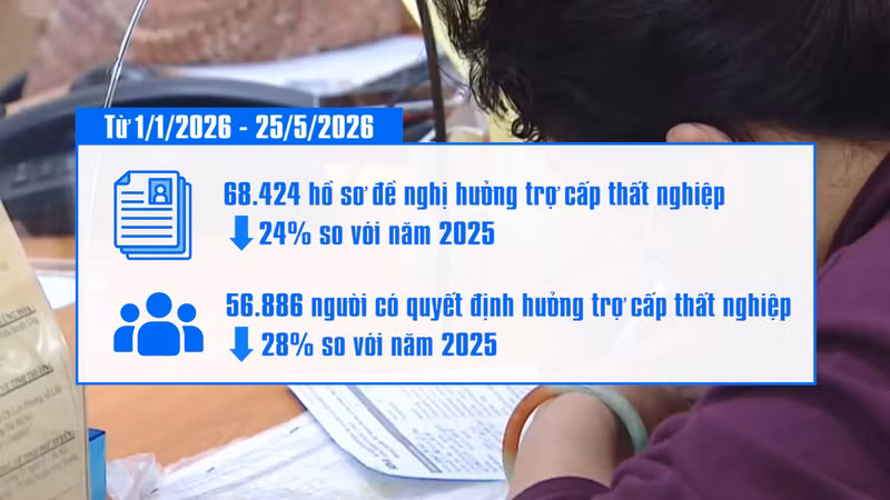 Ho Chi Minh City Sees 24% Drop in Unemployment Benefit Claims in First 5 Months