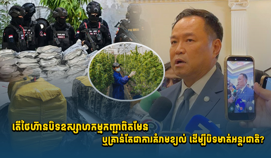 Thailand's Cannabis Industry Faces International Scrutiny, Implications for Cambodia?