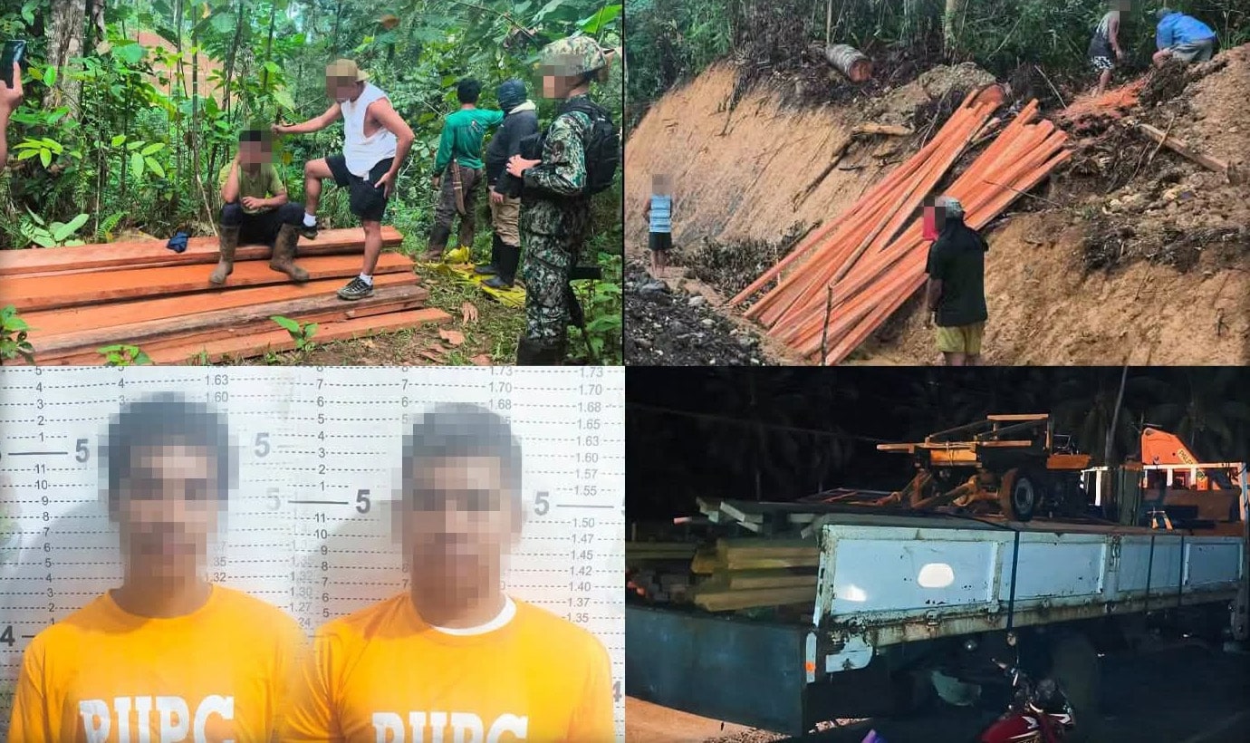 P810k worth of illegally cut lumber seized, 2 arrested in Surigao del Sur