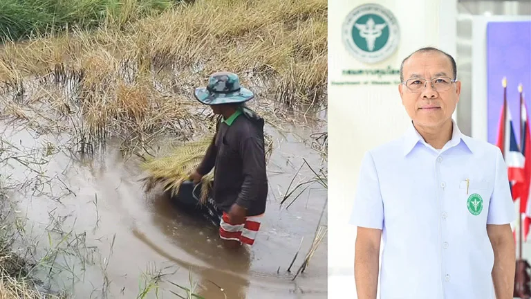 Leptospirosis Outbreak in Southern Thailand: 45 Deaths Reported, Urgent Measures Needed