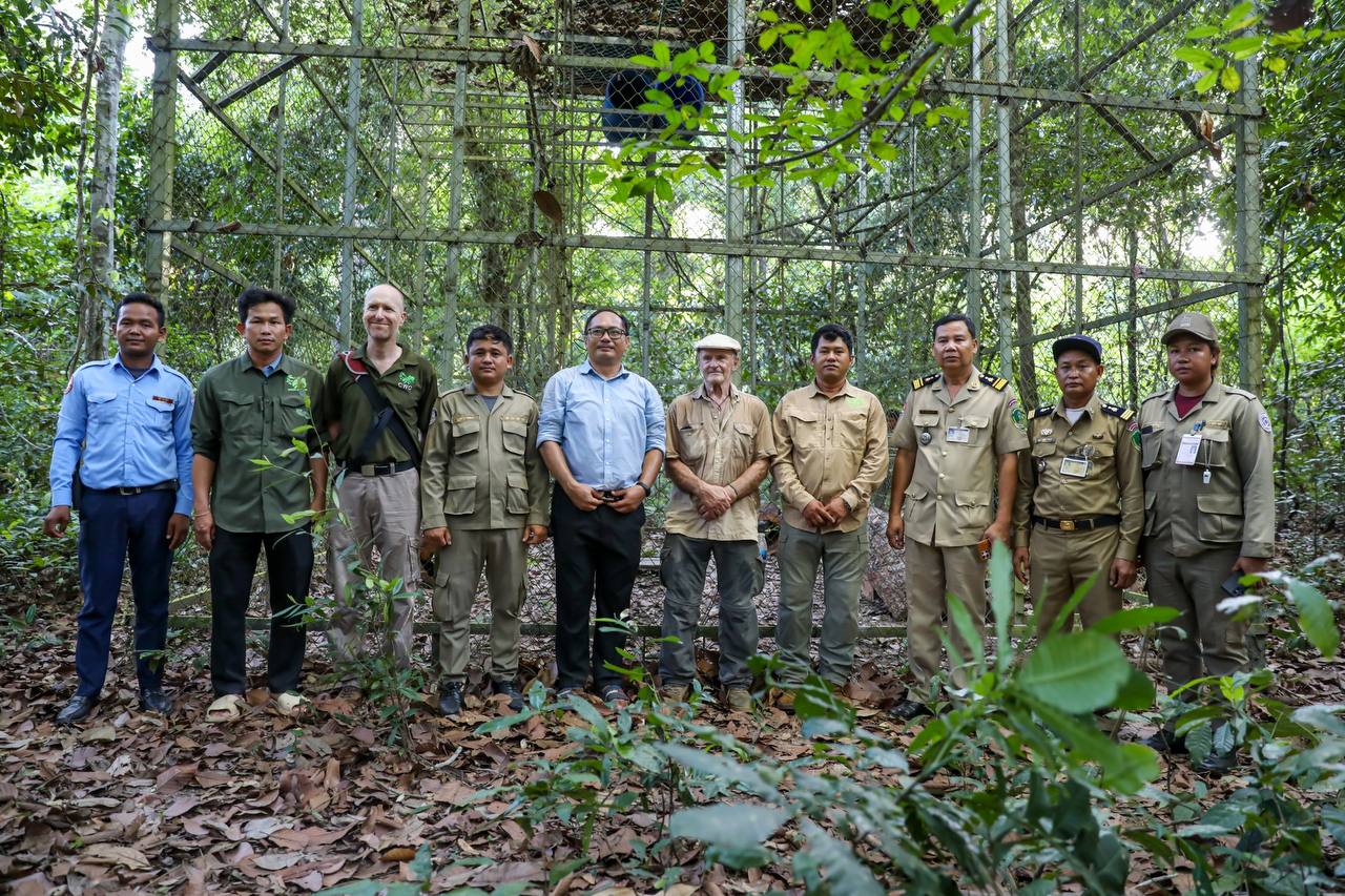 Two Primates Released into Angkor Forest to Boost Biodiversity