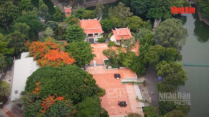 Ho Chi Minh City Park Yields 8 More Remains, Total Reaches 168