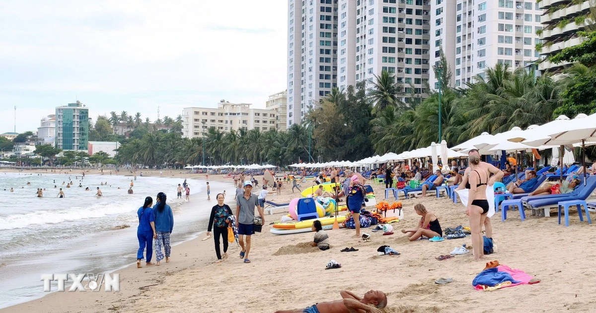 Khanh Hoa Sea Festival 2026 to Showcase 'Ocean Colors' and International Ambitions