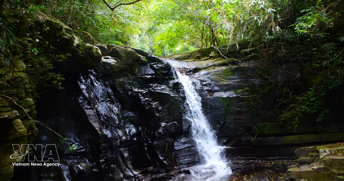 Bach Ma National Park: A Symphony of Streams and Waterfalls in Central Vietnam