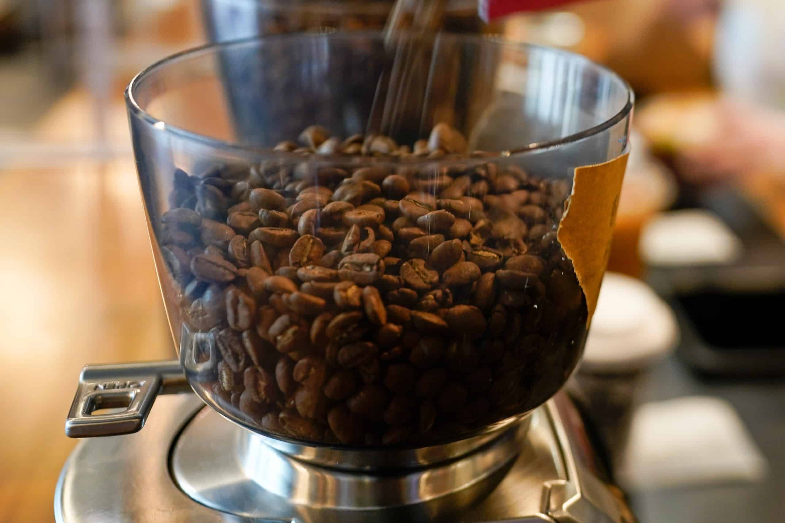 フィリピン北部、コーヒー生産量倍増へ 日比連携で新プログラム