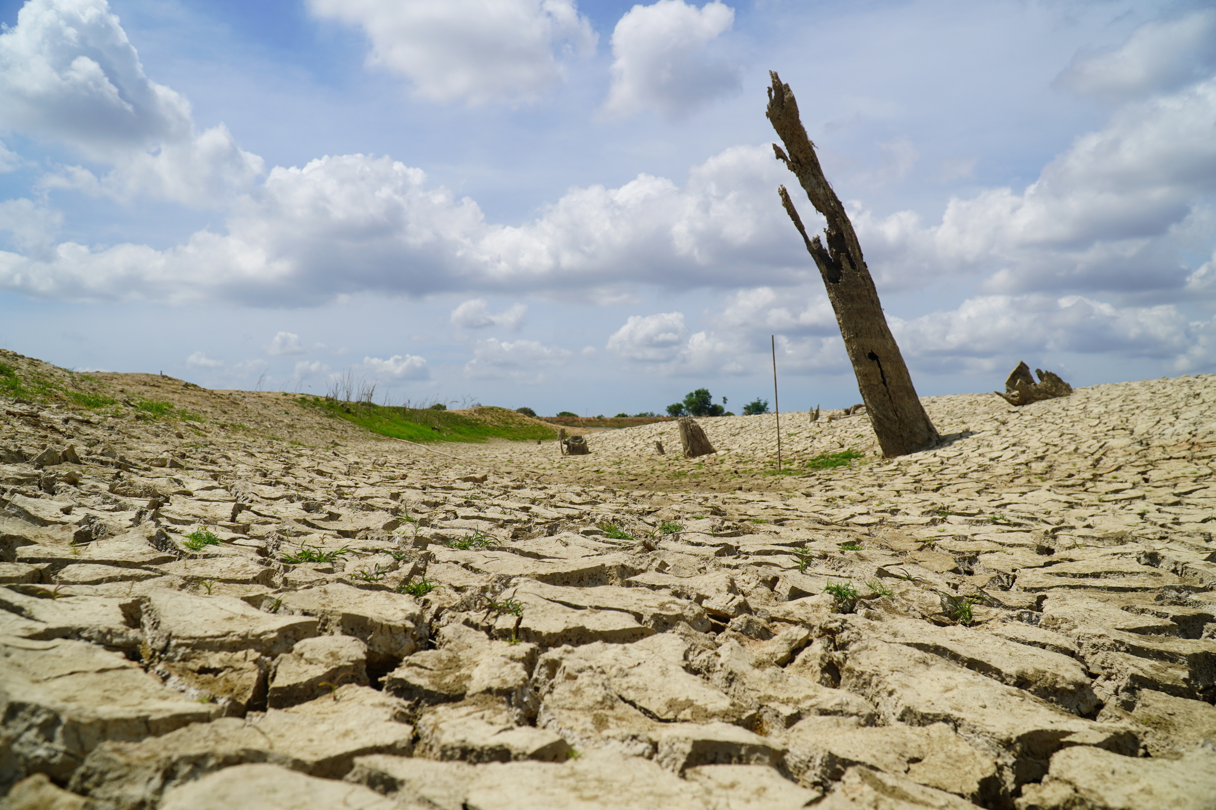 ベトナム、エルニーニョで干ばつ懸念 30万ha超の農地が水不足リスク