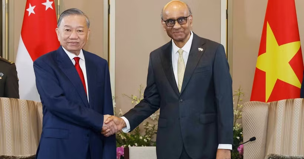 Vietnam and Singapore Deepen Economic and Security Cooperation