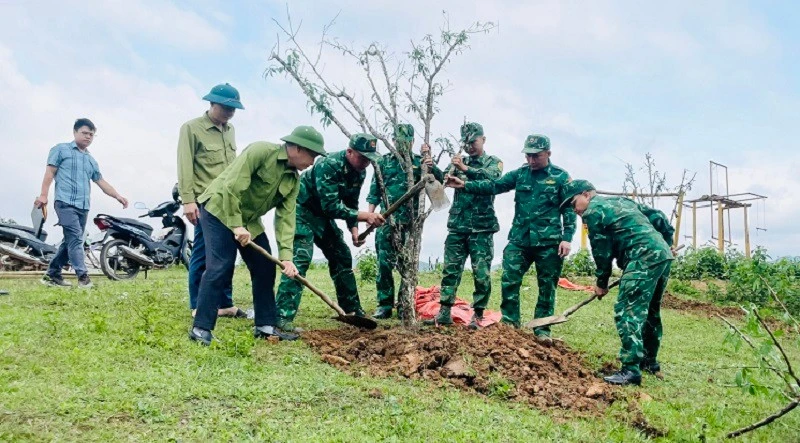 Border Commune of Si Pa Phin Marks Ho Chi Minh's 136th Birth Anniversary with Tree Planting Campaign