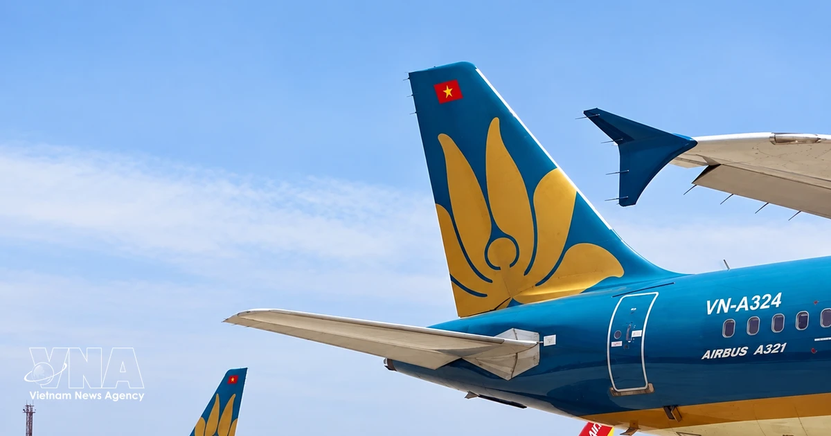 Vietnamese Aircraft Fleet Grows to 261, Fueling Economic Hub Ambitions