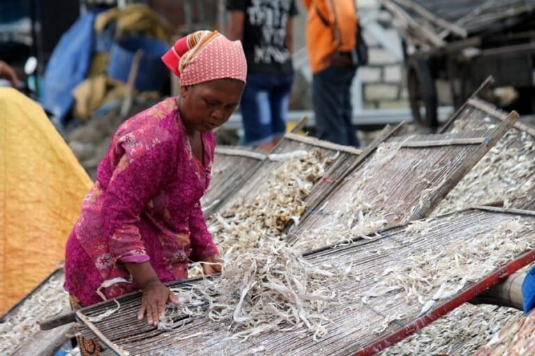 Indonesia's Small Fishermen: Food Providers With Minimal Protection