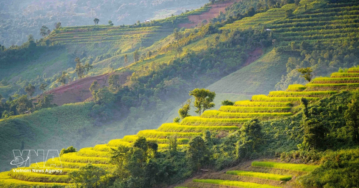 Pu Nhi Terraced Fields in Dien Bien Become New Tourist Magnet