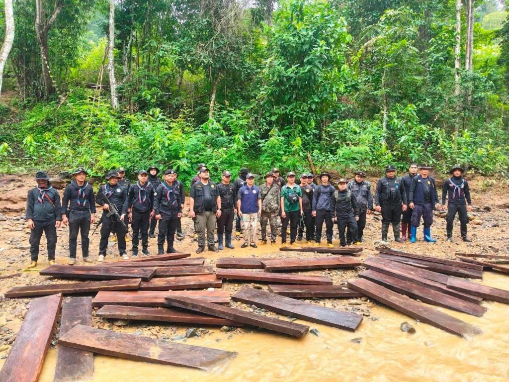 タイ北部で違法伐採されたチーク材を発見、摘発