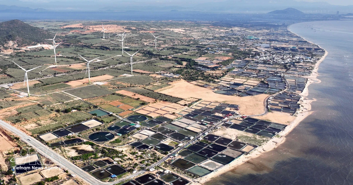 Vietnam Ramps Up Workforce Development for Nuclear Power, Eyes Tech Protectionism Trap