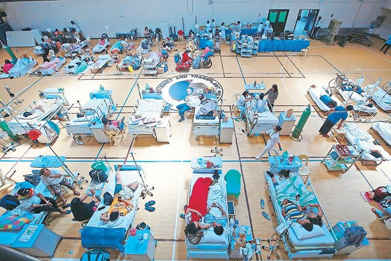 Leptospirosis Cases Surge in Philippines, Dengue Declines