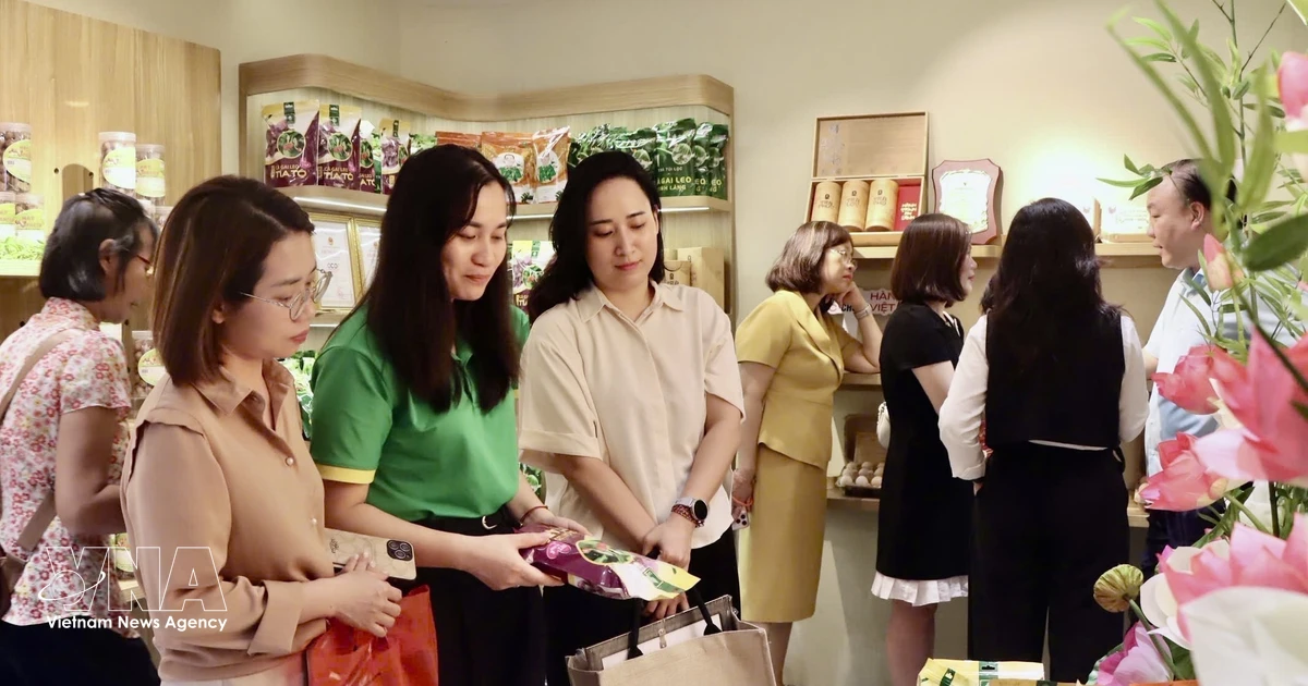 Domestic Consumption, Tourism Fuel Vietnam's Economic Growth in Seven Months