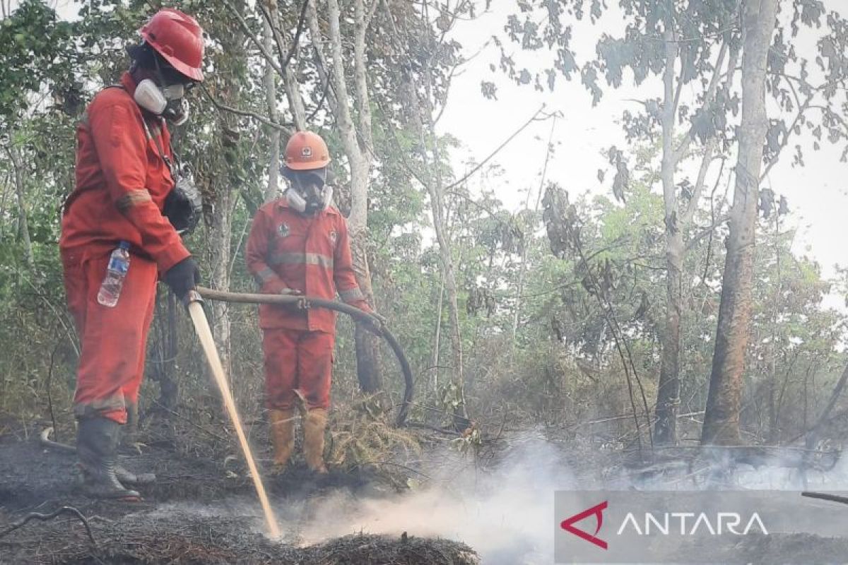 Indonesia Intensifies Cloud Seeding Operations to Combat Kalimantan Wildfires