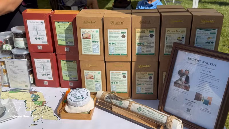 Vietnamese Tea Serves as Cultural Bridge in Canada