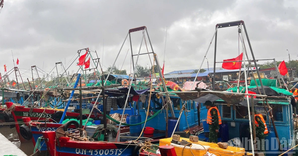 Haiphong Border Guards Proactively Prevent and Combat Typhoon No. 4, Prioritizing Safety of Fishermen and Vessels