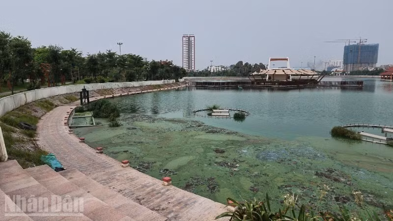 Hanoi's Ngoc Thuy Park Balancing Pond Suffers Prolonged Odor and Pollution
