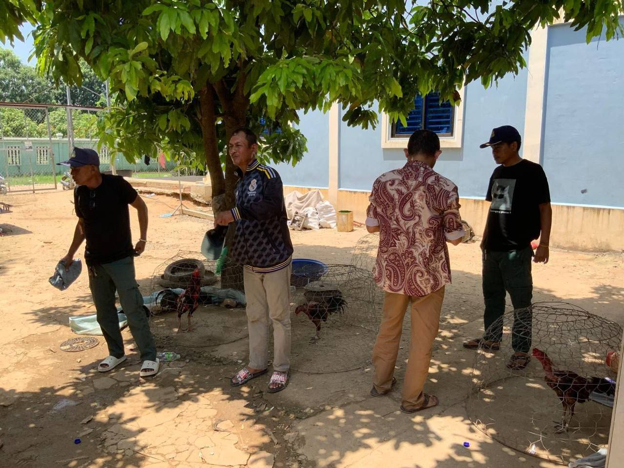 Poipet Authorities Bust Illegal Cockfighting Den, Restoring Public Peace