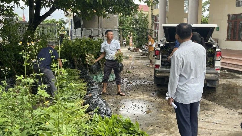 Vietnam Distributes Over 24,000 Forest Saplings to Boost Greening Efforts