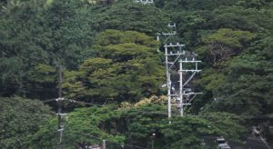 フィリピン、電力コスト削減へ VAT 緩和もインフラ・許認可改革が急務