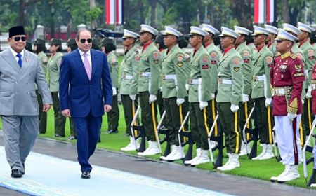 Indonesia and Egypt Agree to Push for De-escalation in Red Sea and Africa
