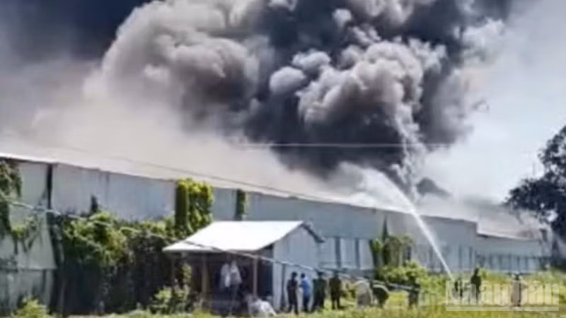 Dong Thap: An Long Garment Company Factory Fire