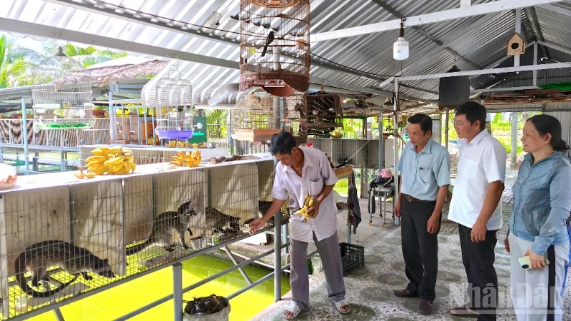 Ca Mau Province Accelerates Sustainable Poverty Reduction with Major Support Schemes
