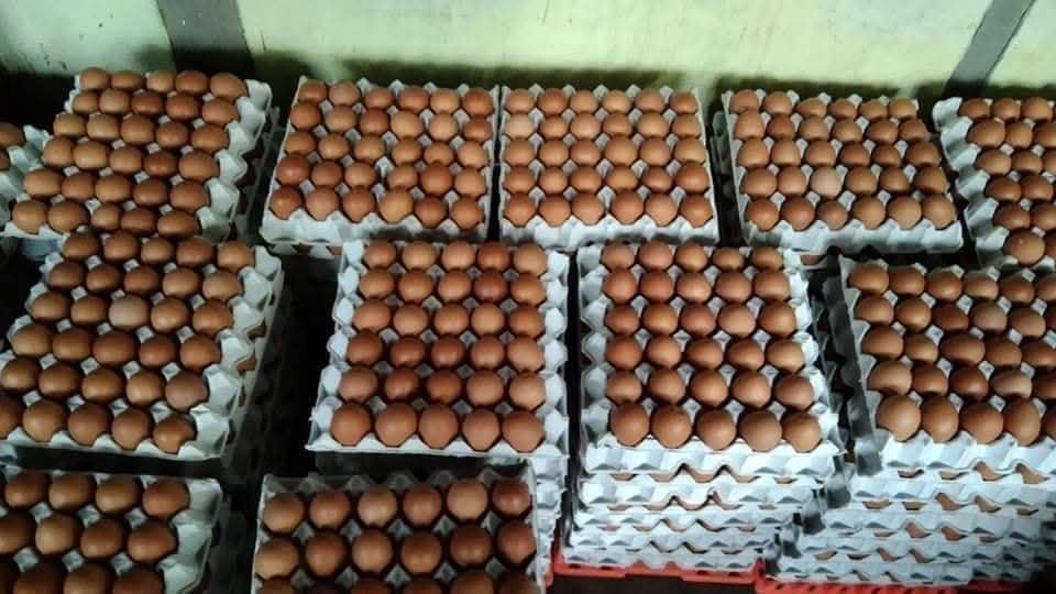 Measures to prevent further increase in egg prices