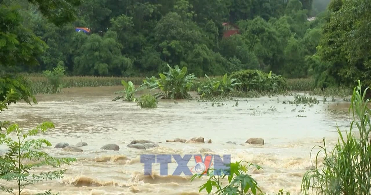 Lai Chau Ramps Up Flood Loss Mitigation Efforts