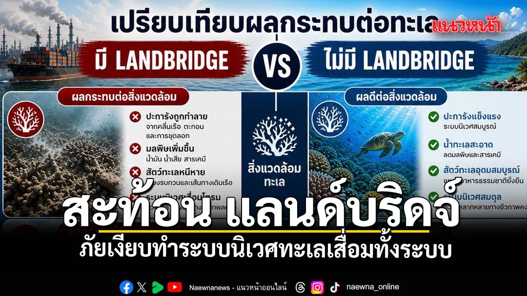 タイ南部ランドブリッジ計画、ダイバーが警告する海洋生態系への深刻な脅威