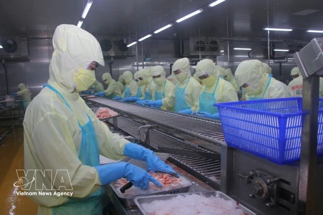 EFTA Deal Unlocks New Opportunities for Vietnam's Seafood Exports