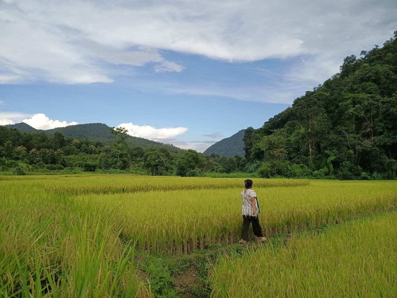 Myanmar military accused of targeting food supplies in Karenni and Shan states