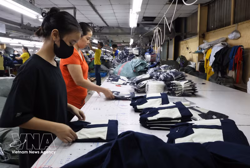 Vietnam Leads ASEAN in Economic Growth and Labor Market Resilience