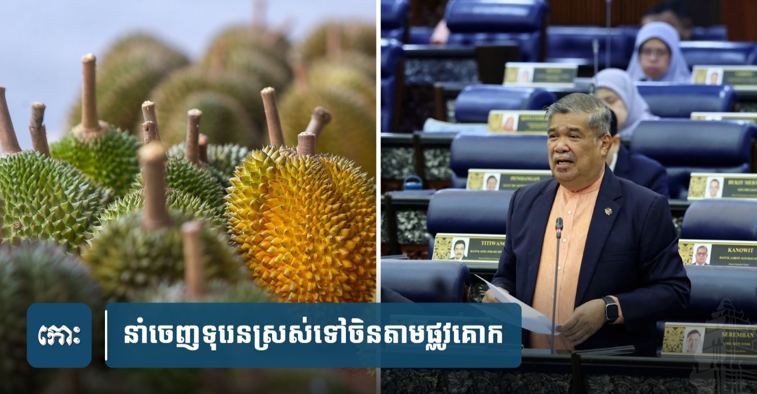 Cambodia Joins Malaysia-Led Land Route Initiative for Fresh Durian Exports to China