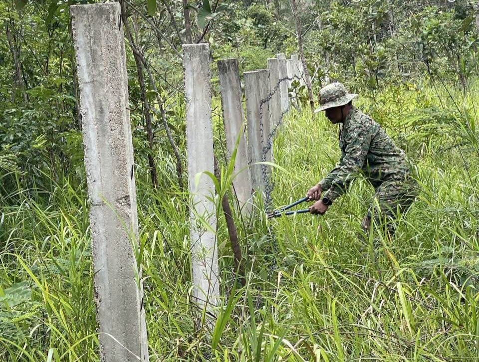 Illegal Encroachment Attempts on State Forest Land in Kirirom National Park Uncovered
