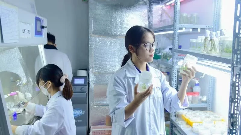 Vietnam Legislates Science, Technology, and Innovation Day to Drive National Growth