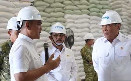 North Sumatra Rice Stock Safe, Coordinating Minister Assures After Visit