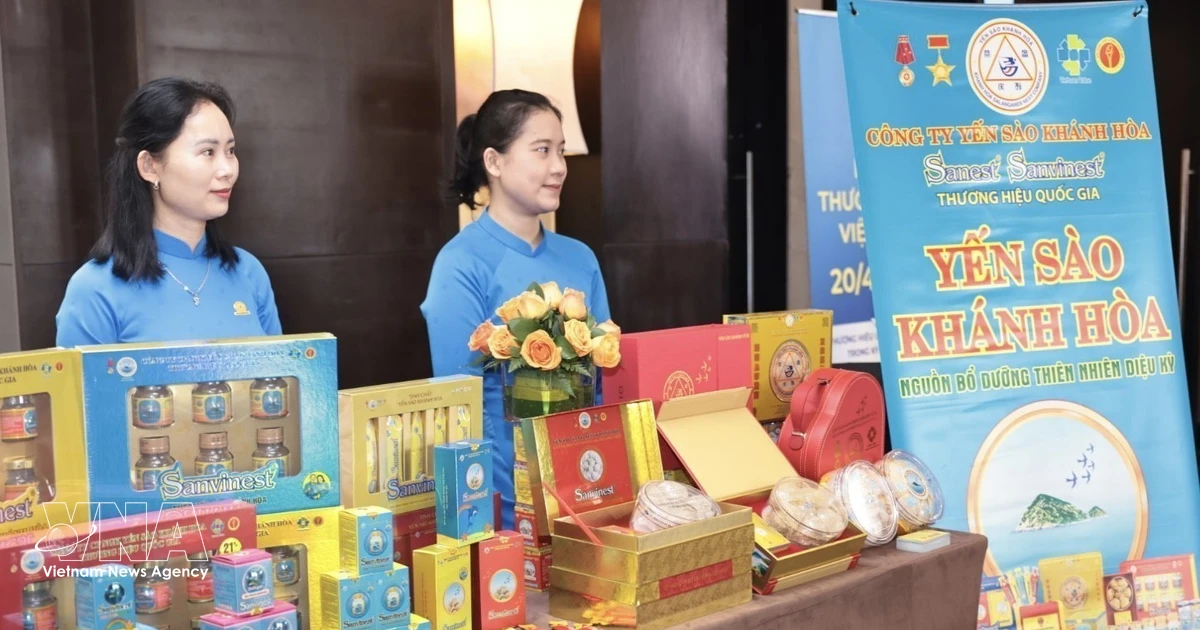 Vietnam's National Brand Value Surges 45% to Over $462 Billion