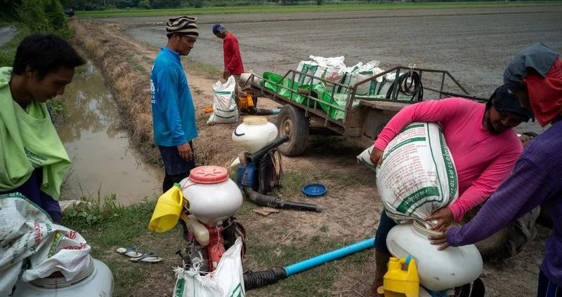 タイ農業債務危機、新政権への試練に