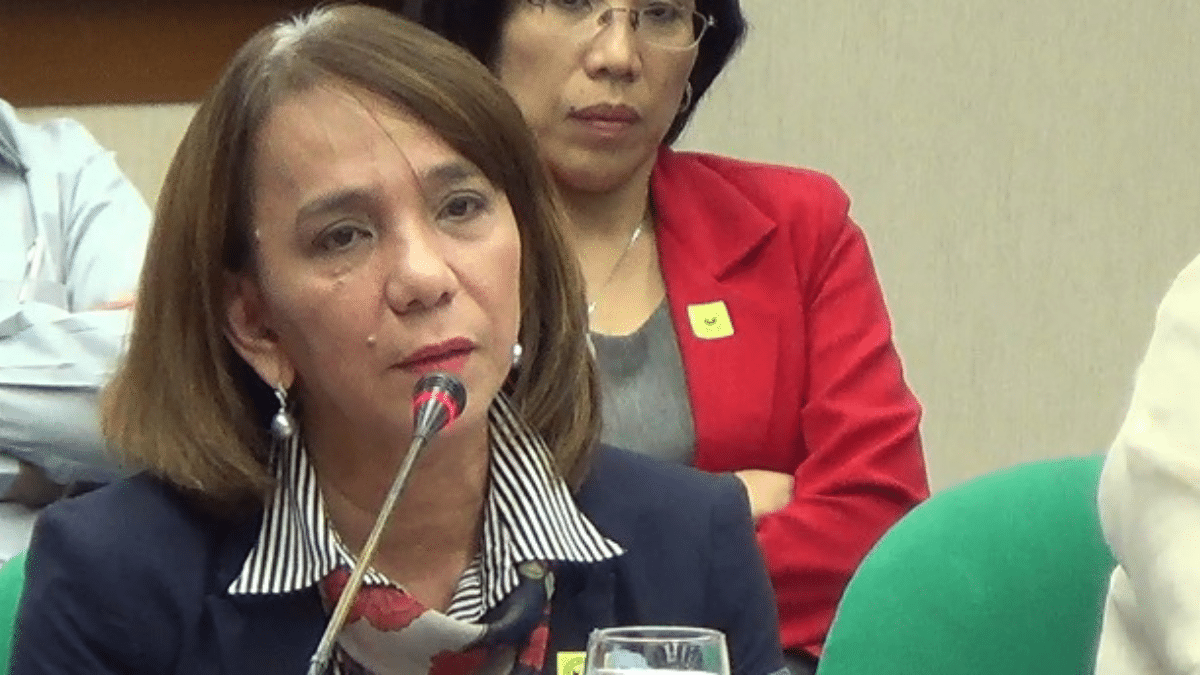 COA Auditors Are Your Allies, Ex-Exec Tells Filipinos